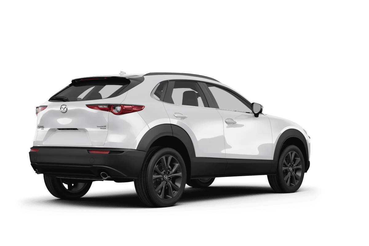 Mazda CX-30  - Back view Mazda CX-30  - Back view