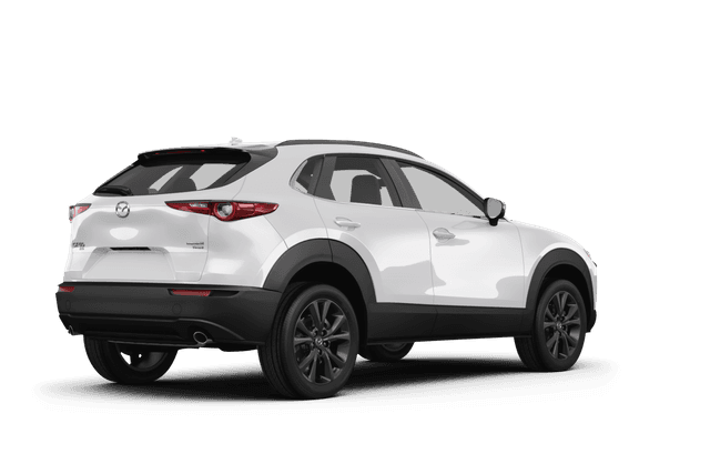 Mazda CX-30  - Back view Mazda CX-30  - Back view